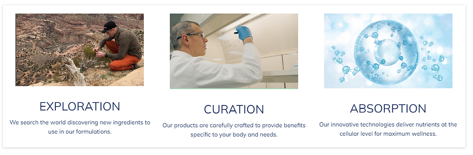 Exploration Curation Absorption.PNG