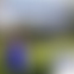 "Helping Achieve Dreams: Innumeris Student Heads to New York on Full-Ride Basketball Scholarship!"