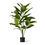 Thumbnail: EVERGREEN EVERLASTING POTTED PLANT