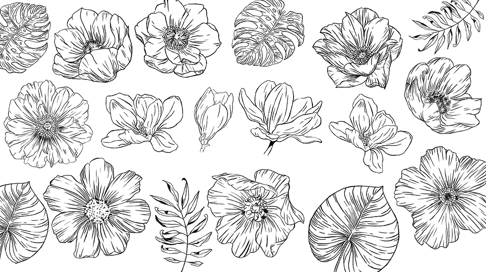 floral line drawing.png