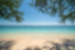 Beach_NW1 copy.jpg