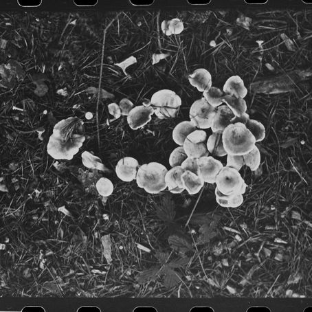 35mm (re)beginnings