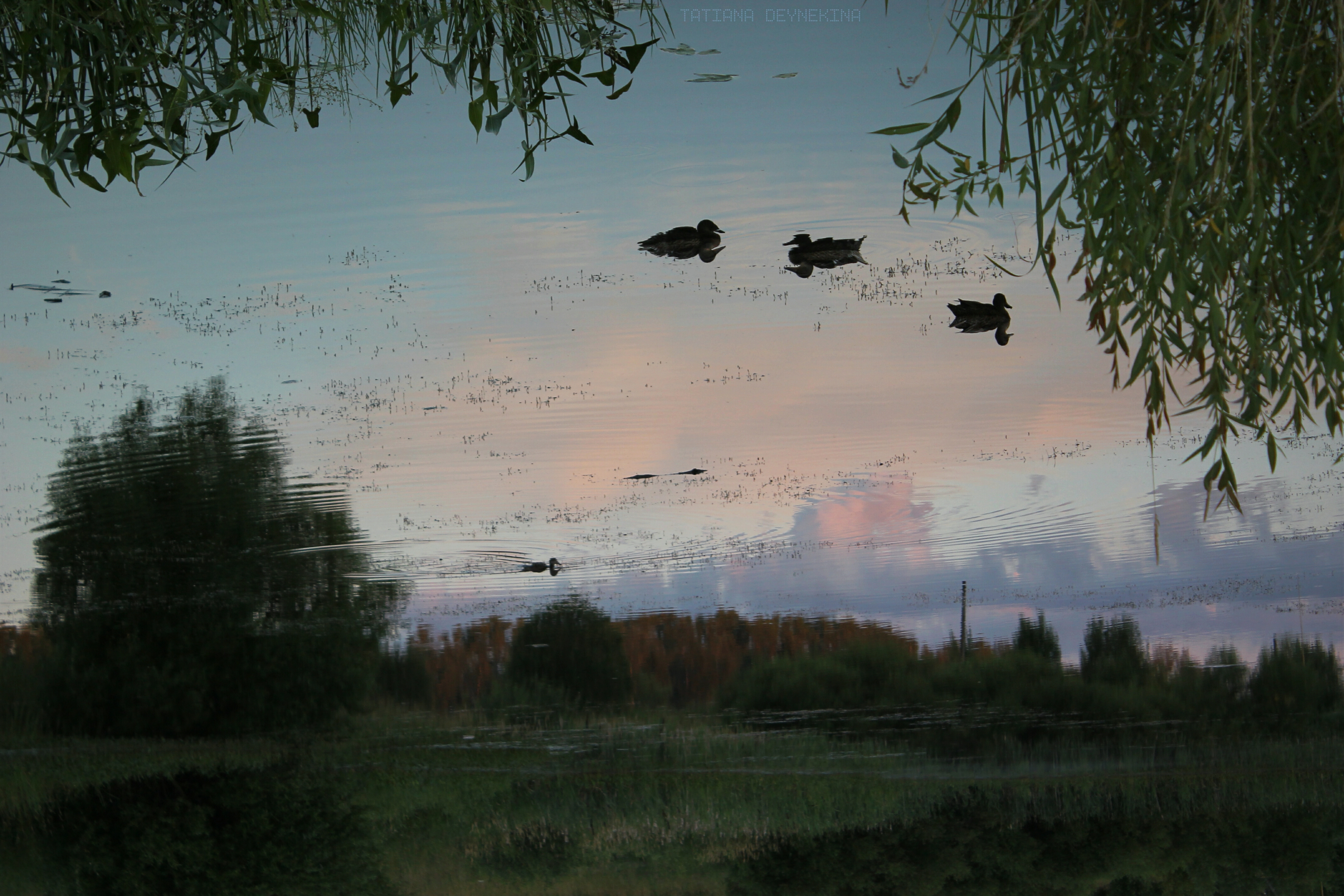 FLOATING IN THE CLOUDS