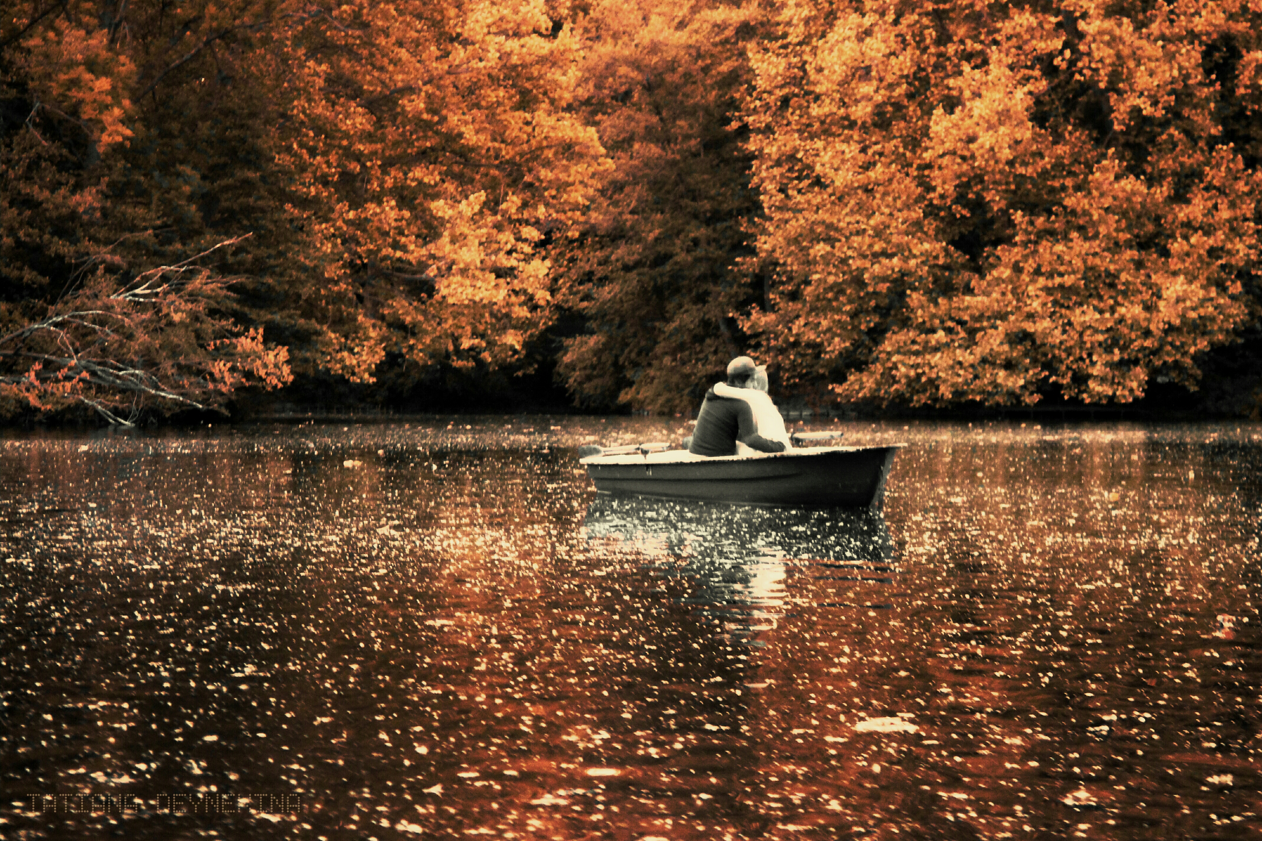 TIERGARTEN IN BERLIN