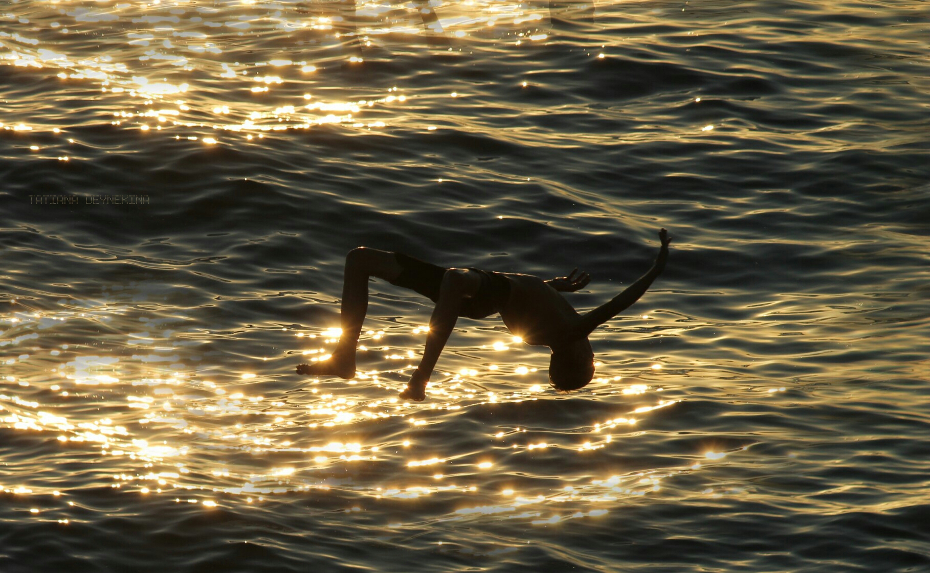 ICARUS