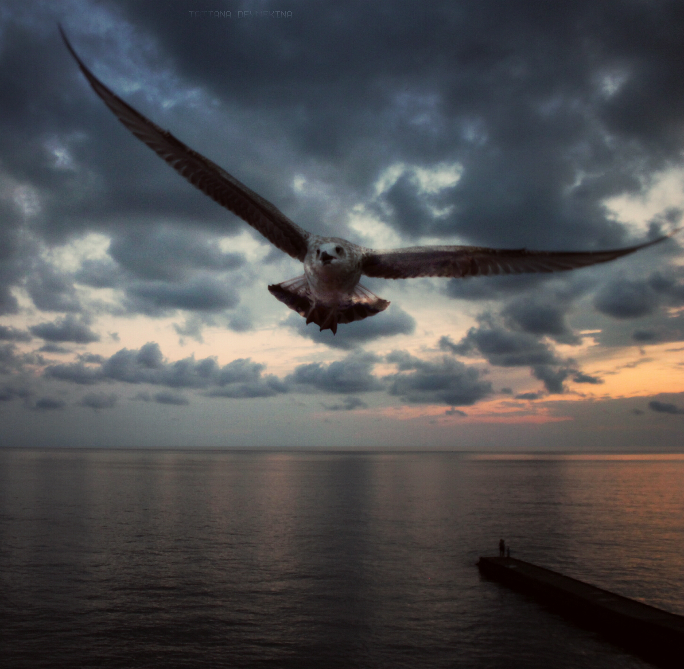 OVER THE BLACK SEA