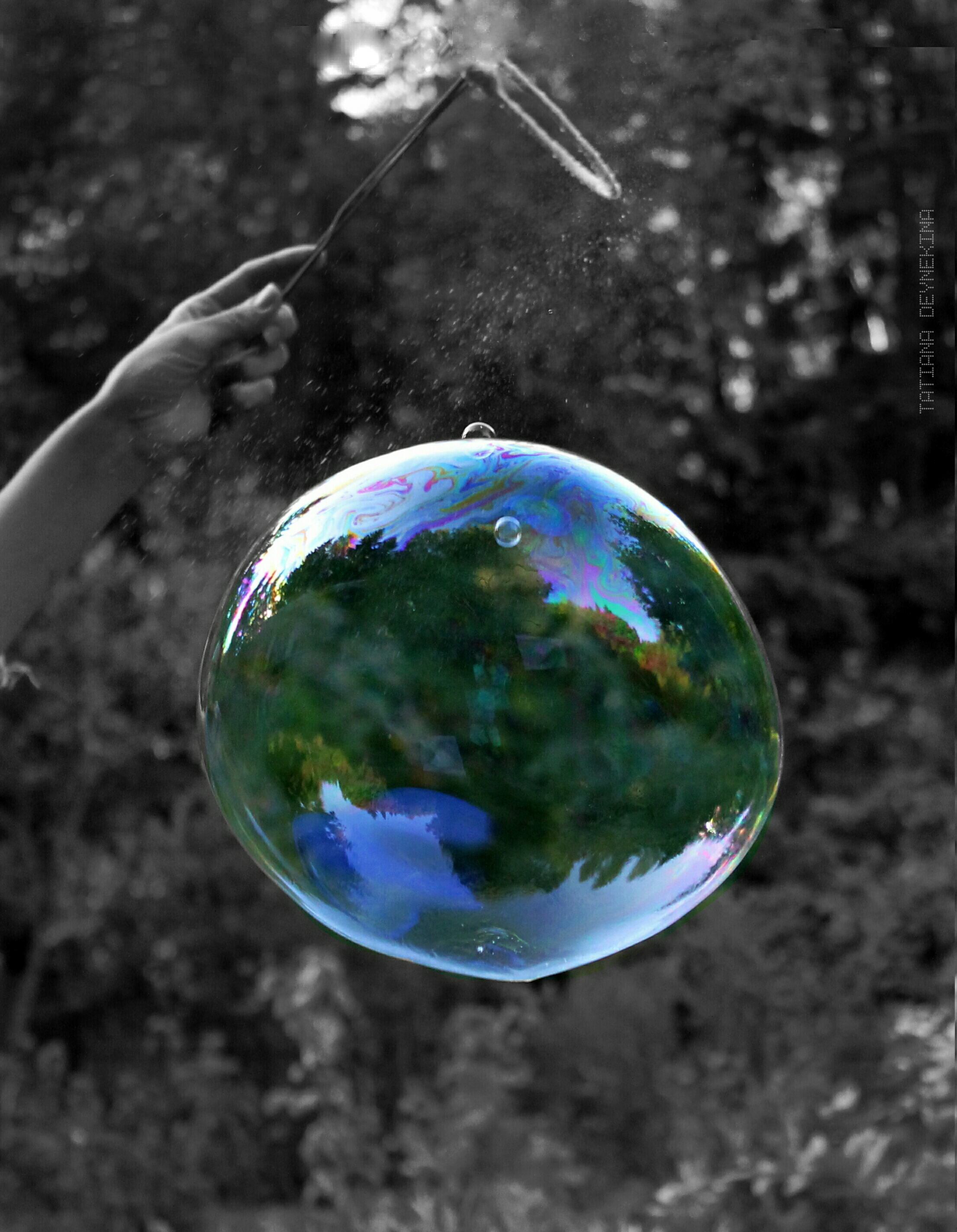 BUBBLE