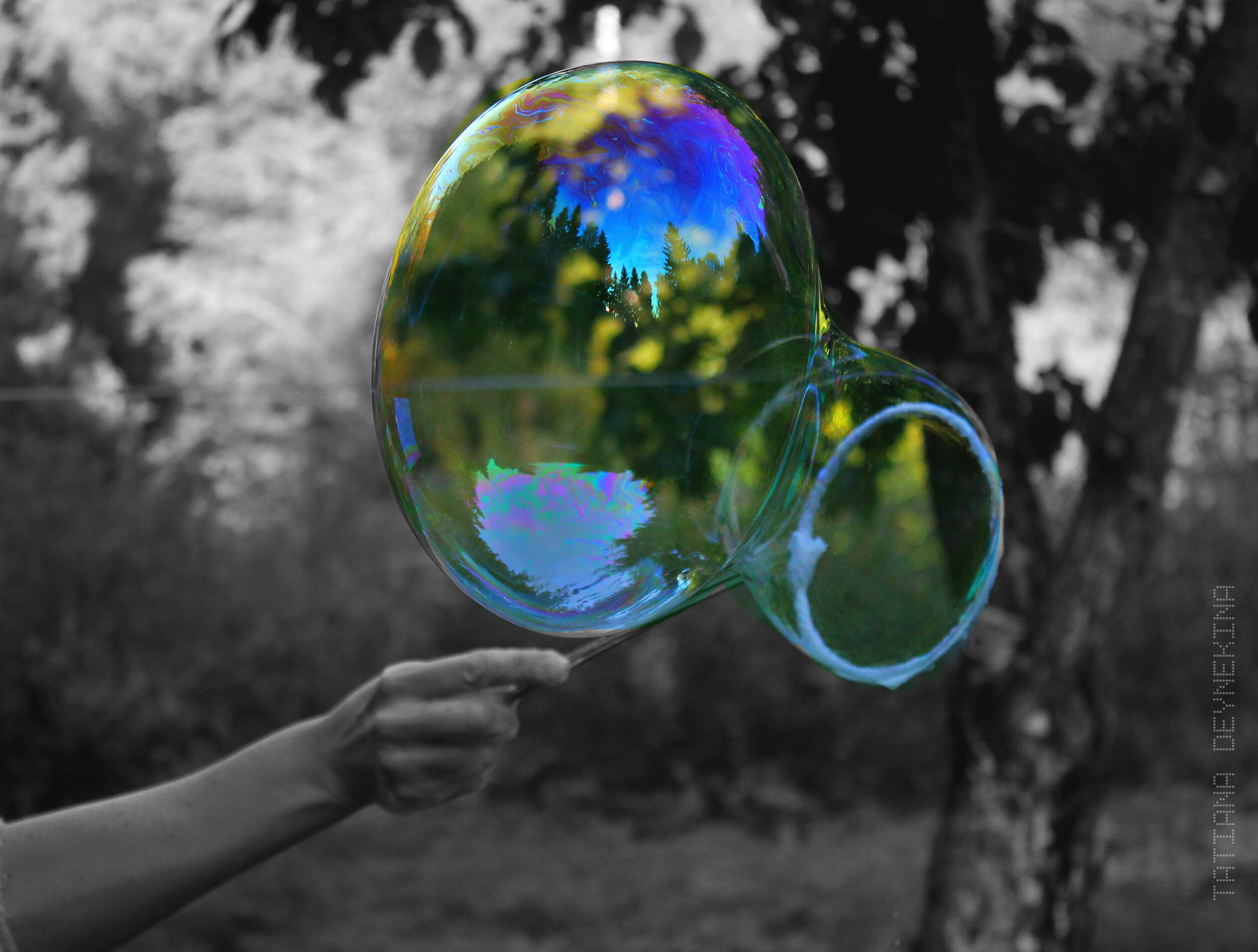 BUBBLE 2