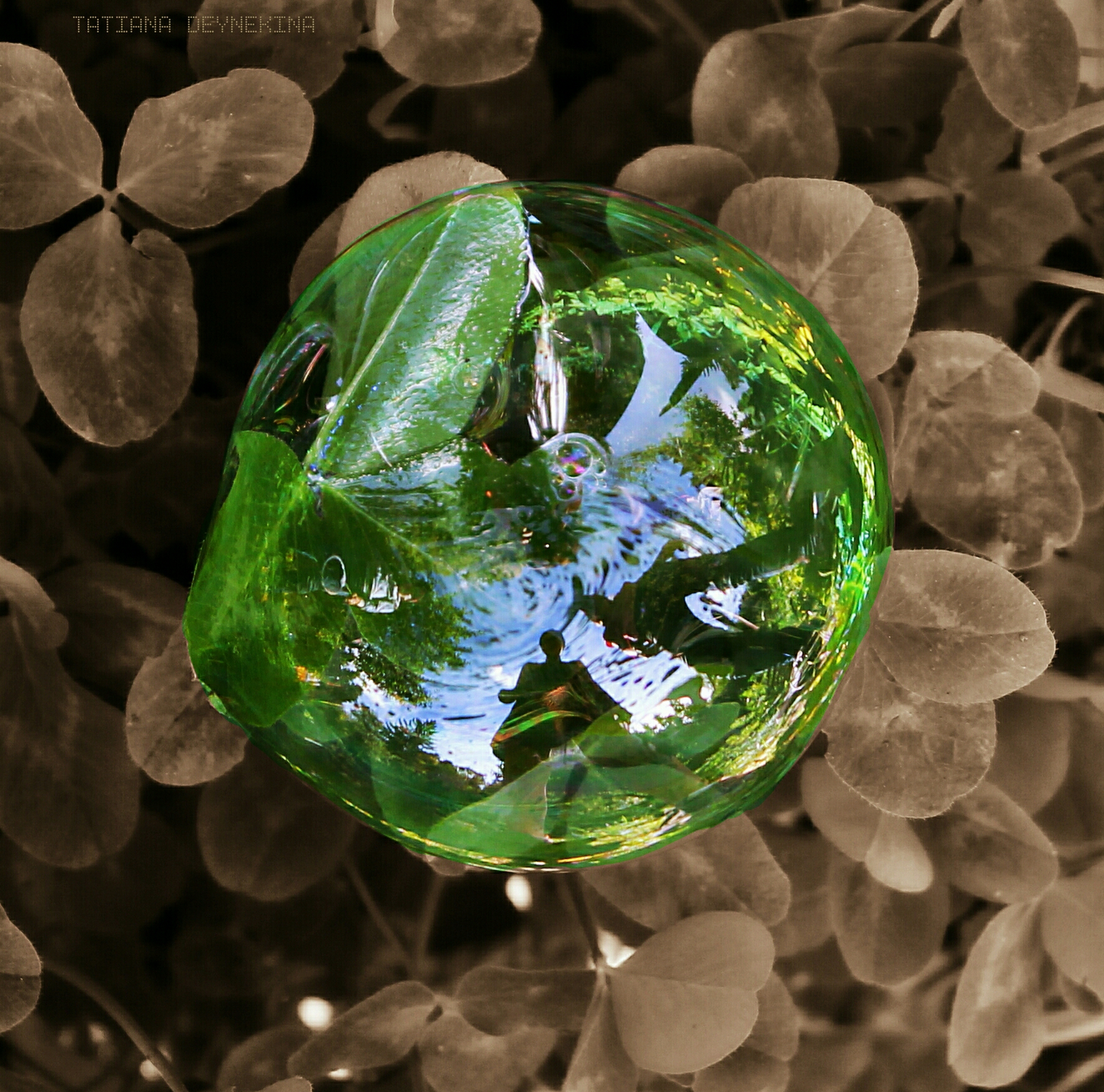 BUBBLE 5