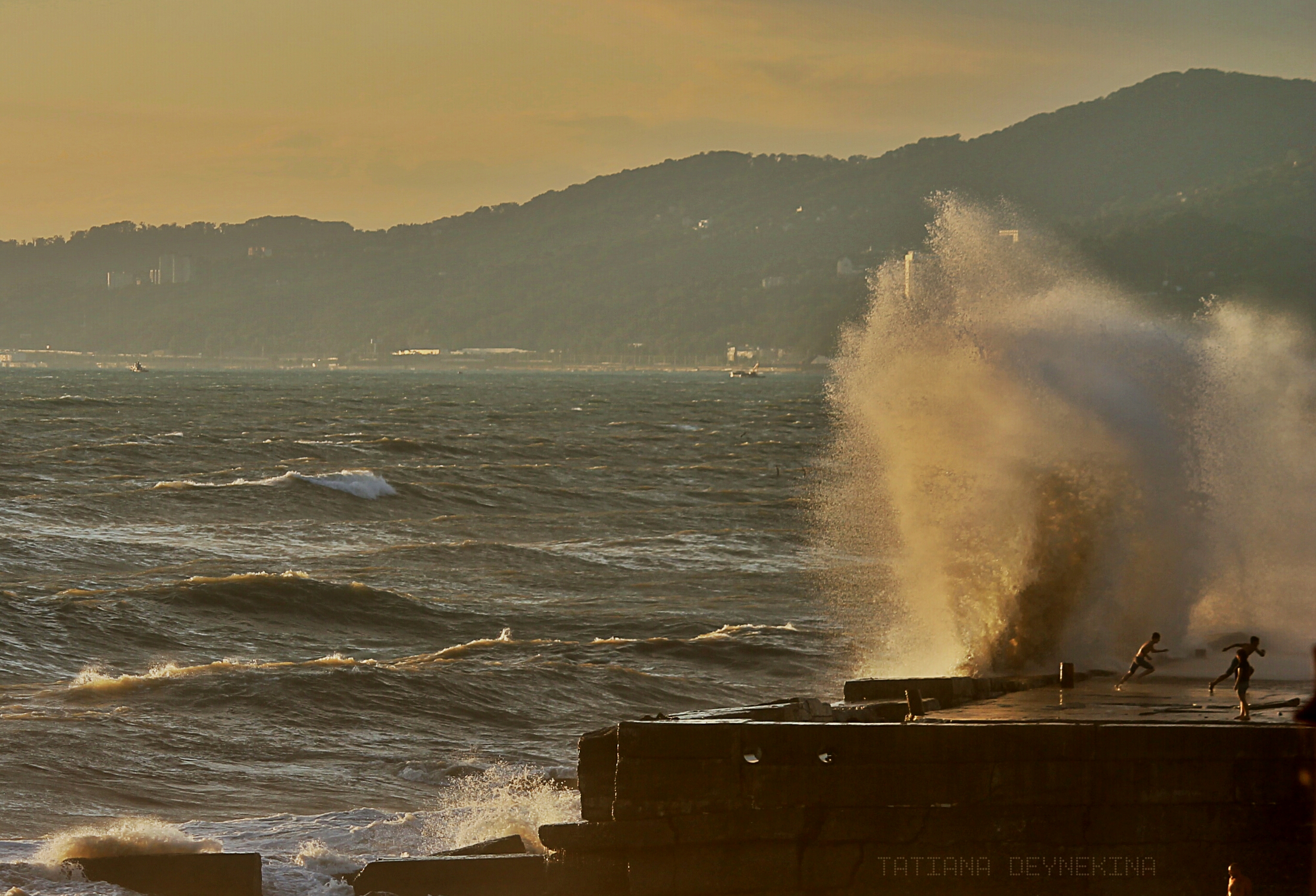 WAVE