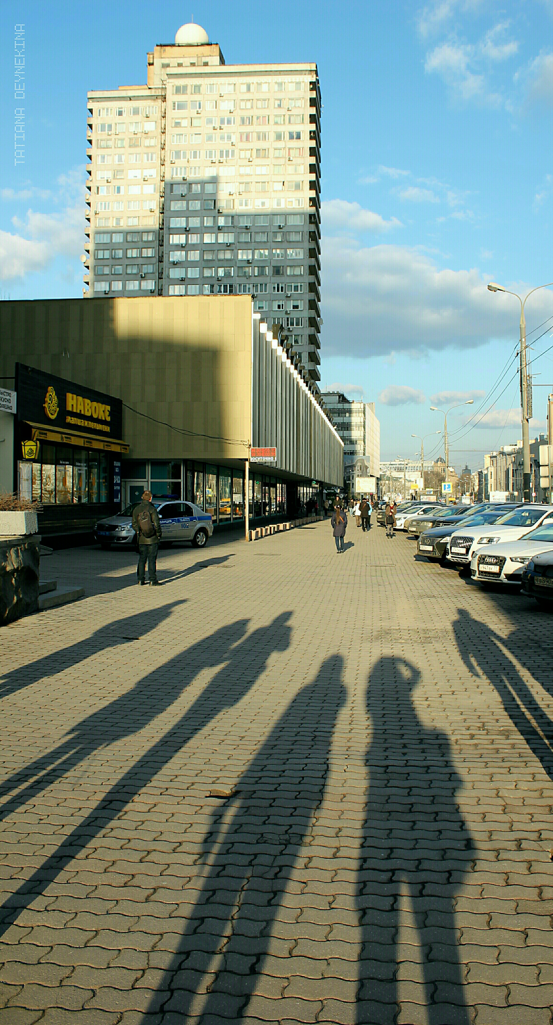 SHADOWS