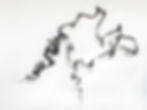 3. Salomon_Forest Bathing