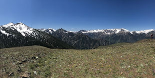 IMG_0219.jpeg
