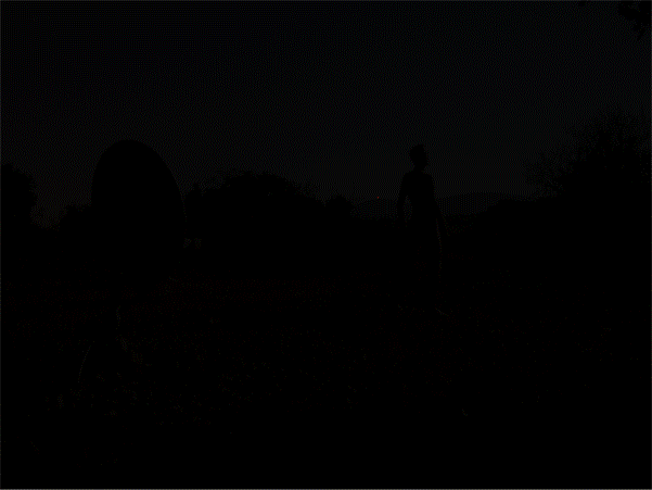 d47xto5-8e253729-05c5-4cb2-925a-b6ca8b69