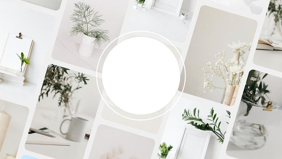 TITL website cover-2.jpg