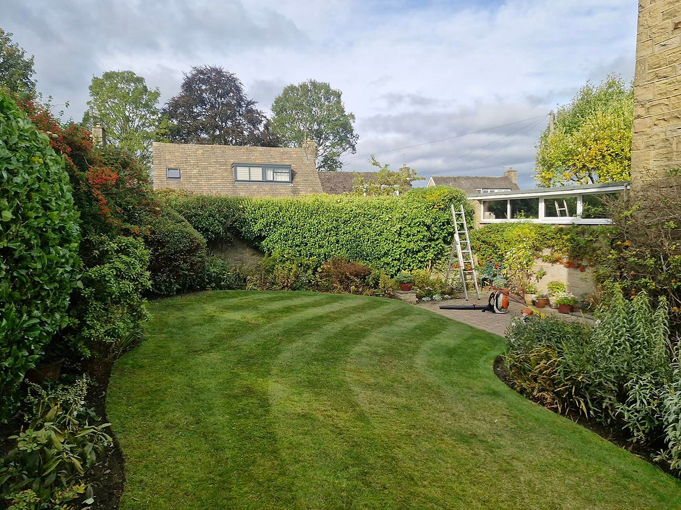 Freshly mown striped lawn with tidy borders and hedge maintenance in Otley, West Yorkshire
