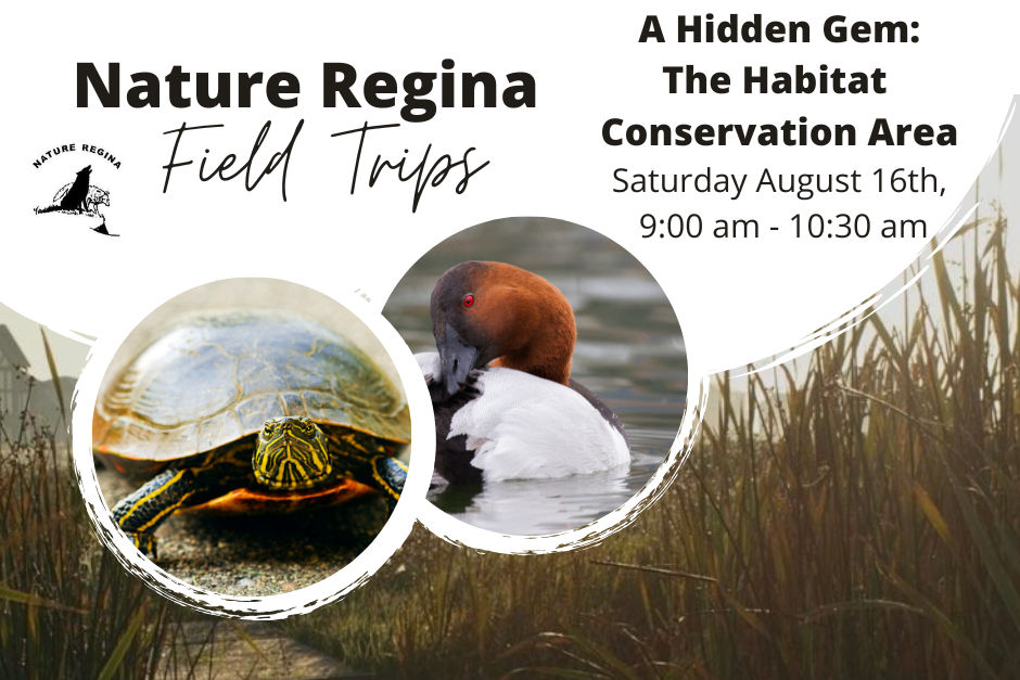 Field Trip: A hidden gem; The Habitat Conservation Area
