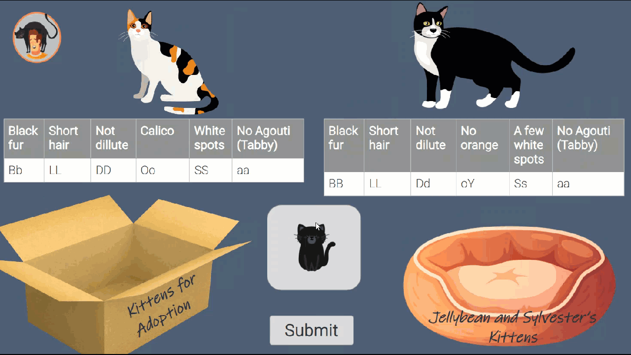 Drag and Drop kitten genetics game