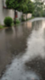 20260621_200000[1]