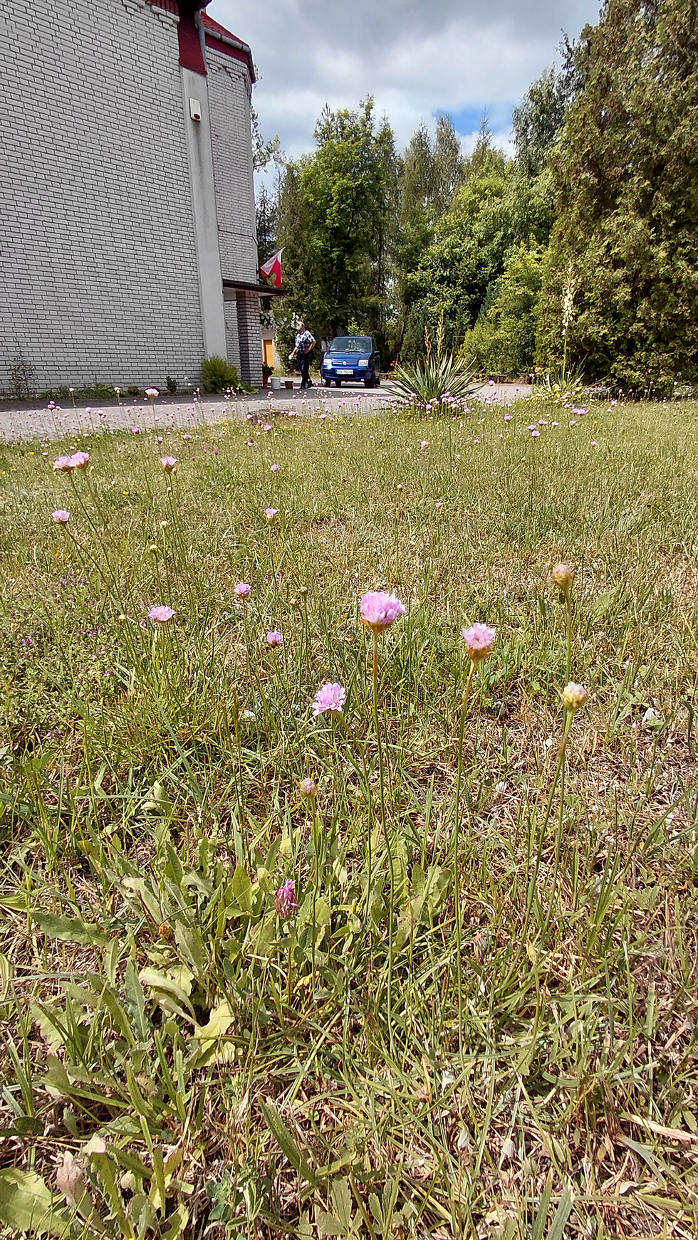 20260704_113057[1]