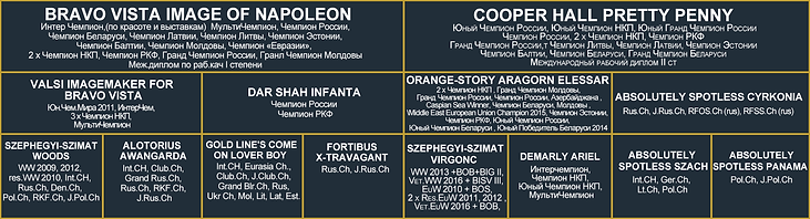 Родословная_Биг+Акварель.png