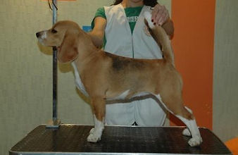 Businesswoman with Mask