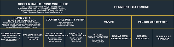 Родословная_Биг+Гермиона.png