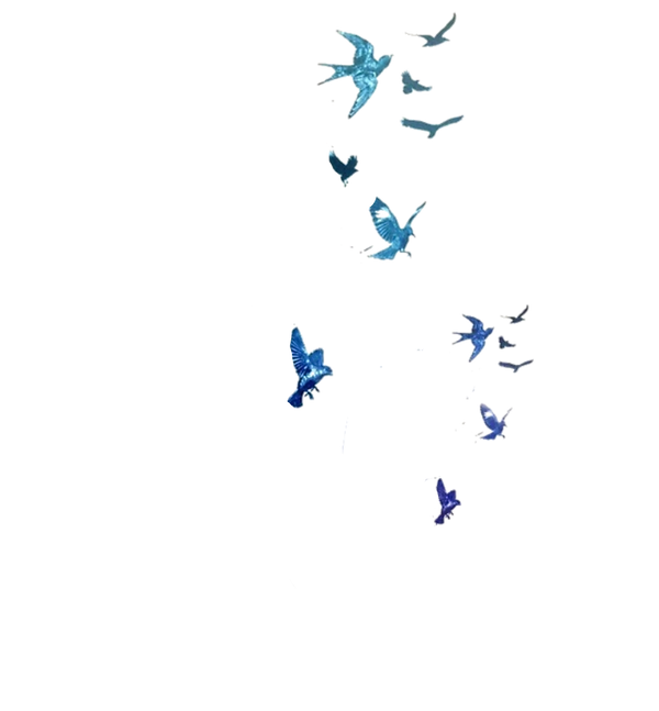 download (4).png