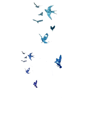 download (4)_edited.png