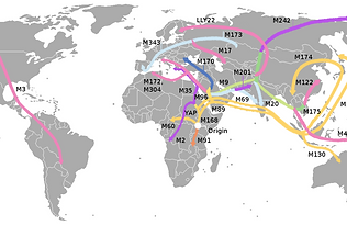 1200px-Human_spreading_over_history.png