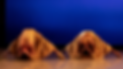 HIDEME_800x450.png
