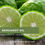 Thumbnail: BERGAMOT OIL