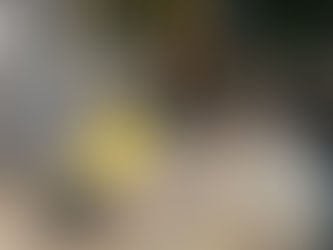 Open Grade Base Vs Sand Base: Advice from an Experienced Patio Builder