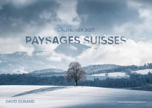 Edition Seidel Calendrier Mural Zurich 2025 De Qualité Supérieure - Format A3 - Pour L'Europe, La Suisse Et Le Lac De Zurich