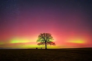 aurores boréales Fribourg stage Voie lactée.webp