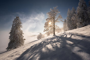 _Z627662_small.jpg