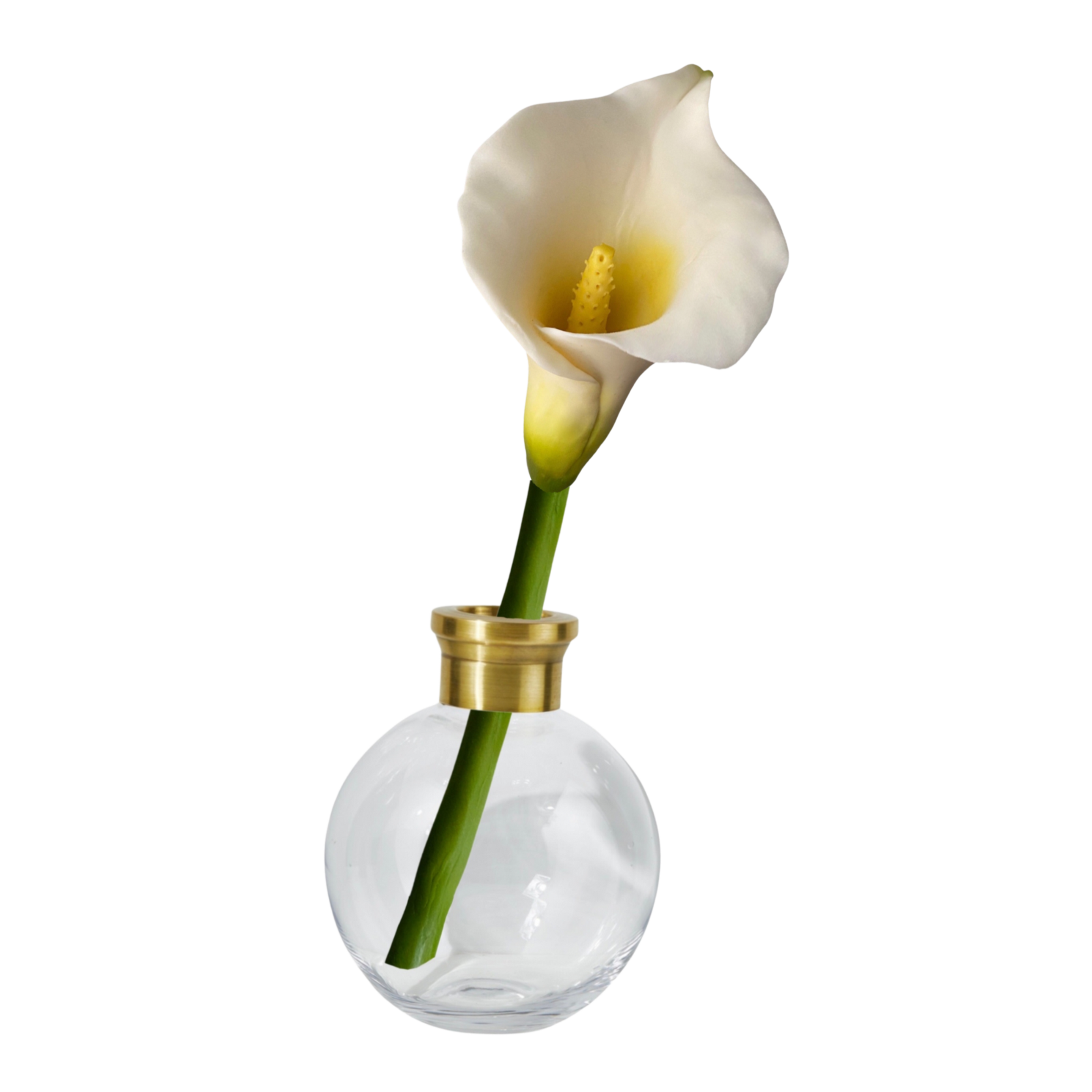 CALLA LILY IN A GLASS GOLD VASE