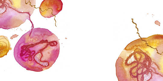 Ontwerp zonder titel (24).png