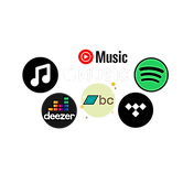 nudo&crudo disponibile su queste piattaforme, spotify, bandcamp, tidal, deezer, apple music