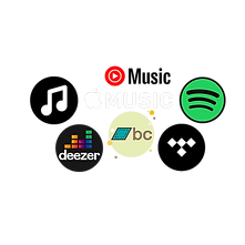 nudo&crudo disponibile su queste piattaforme, spotify, bandcamp, tidal, deezer, apple music