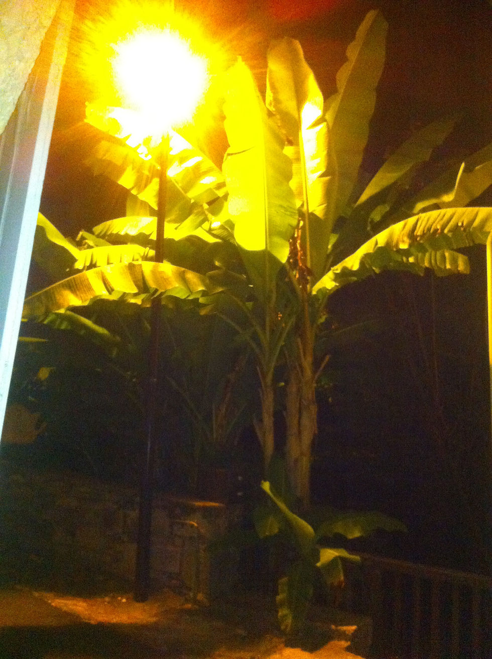 Chercher la lumière