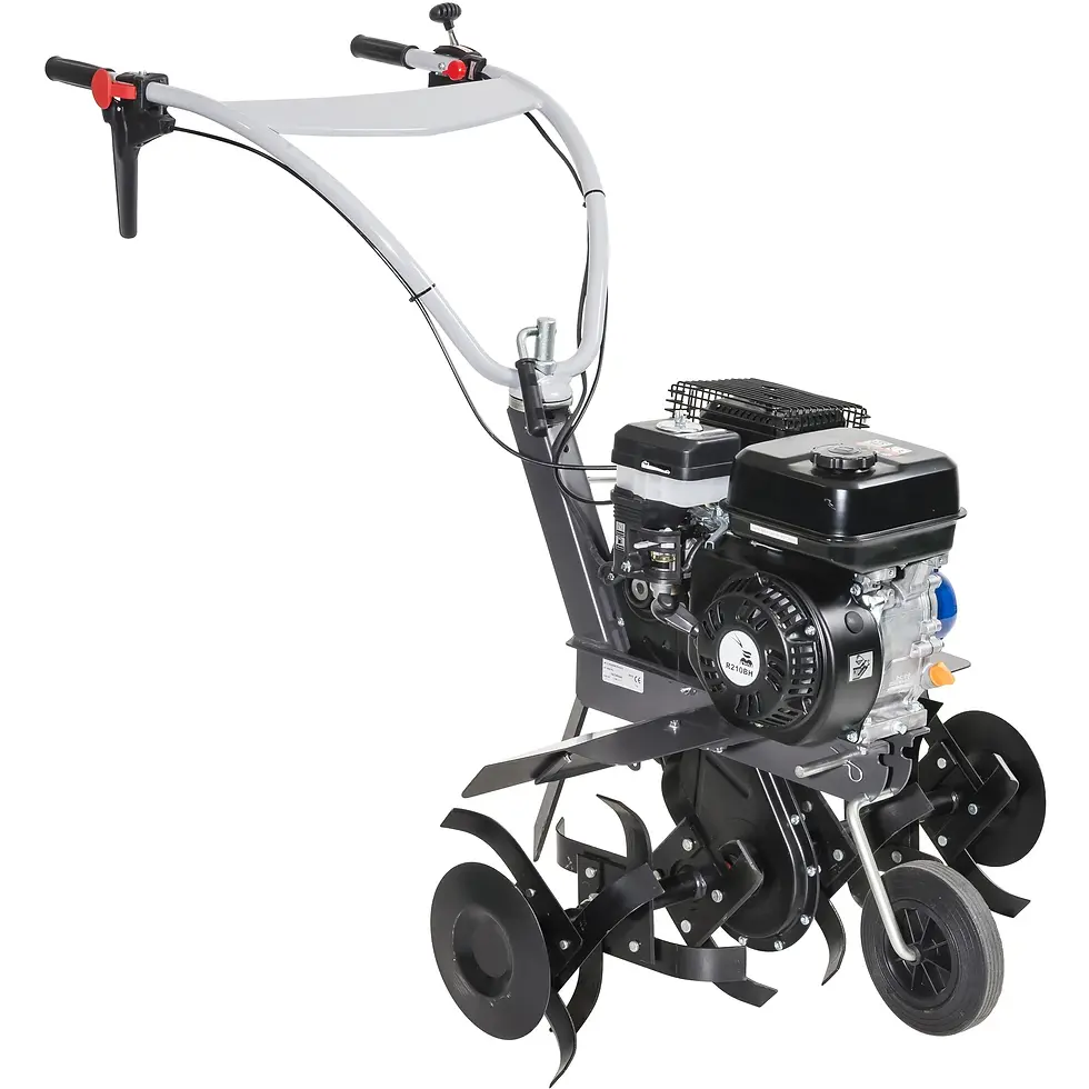 Miniature : Motobineuse Staub  ST 3060 R2