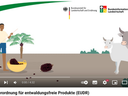 Erfolg im Bundesrat für bayerische Initiative zur Entwaldungsverordnung der EU - Bürokratische Lasten vermeiden