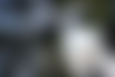 Aufruf zur Teilnahme am Umweltomnibus