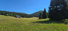 Green mountain meadow and forest near Risnjak National Park