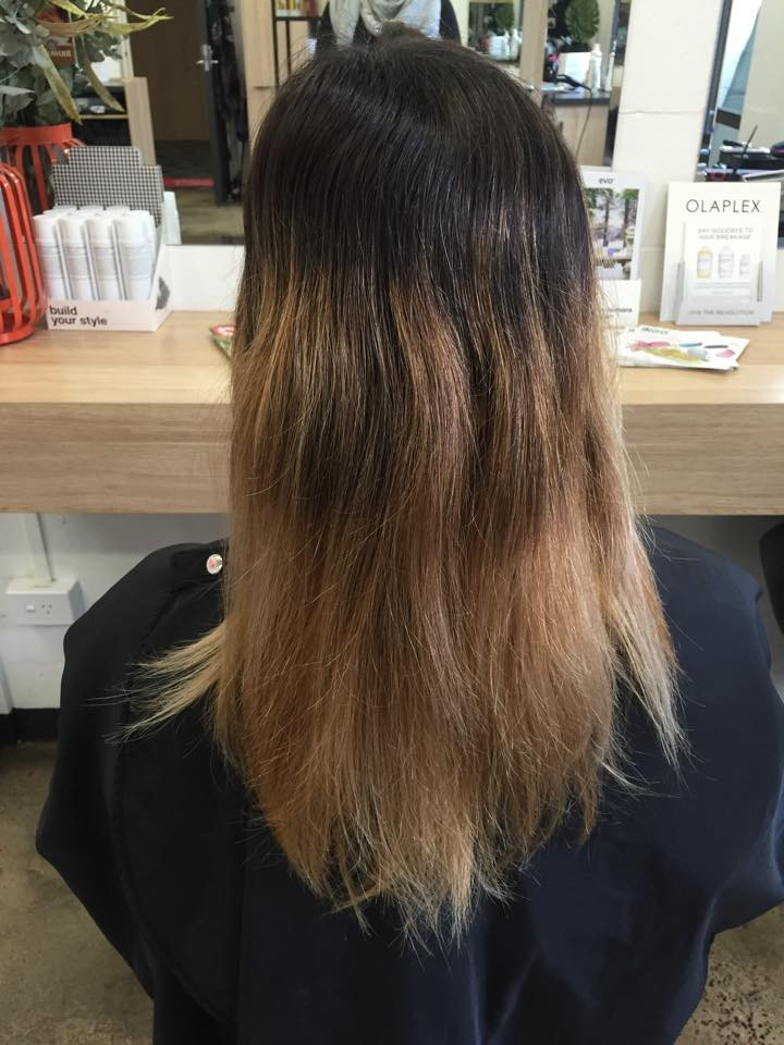 Olaplex before and after