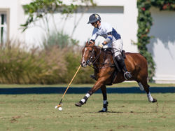 20150623_NIKON D610_Aberto SP_Maragata Zapalla x Guabi Polo_-_KUR5908