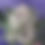 Thumbnail: Black Raspberry Kush FEM