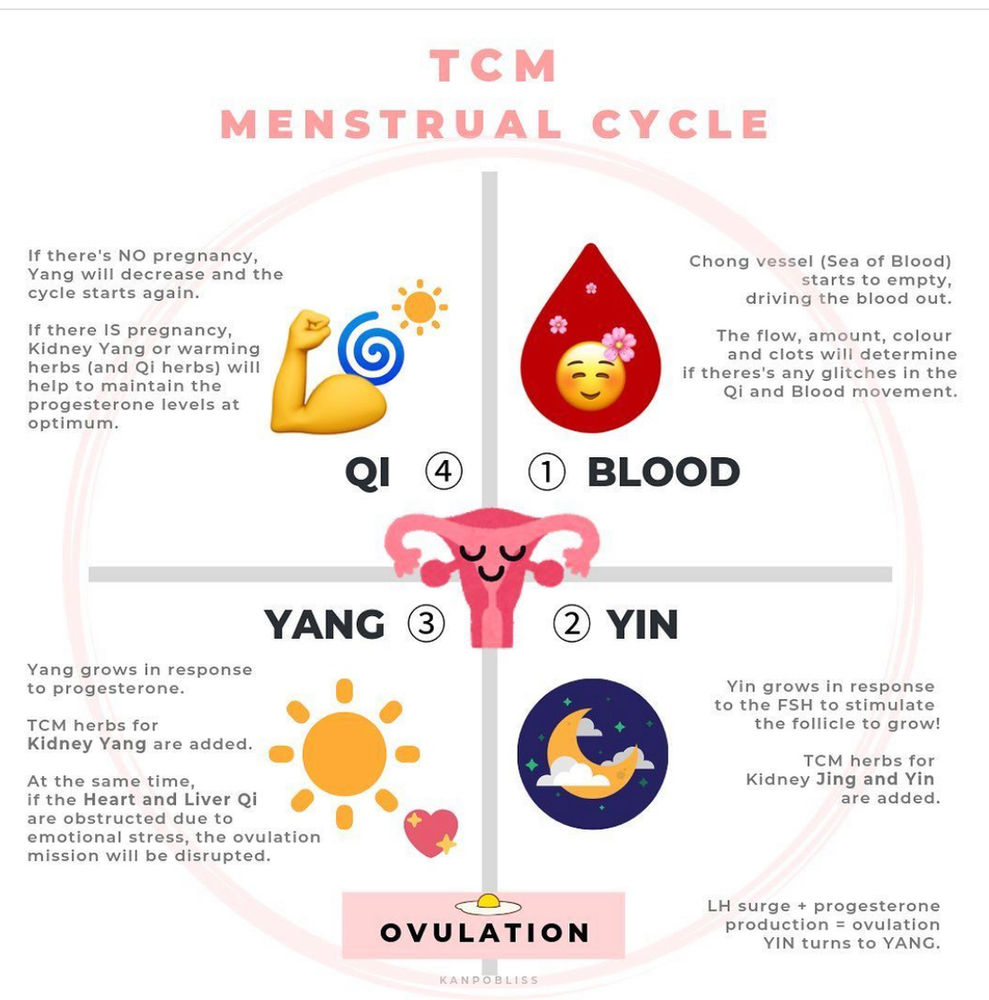Menstrual Monday’s TCM and the Menstrual Cycle