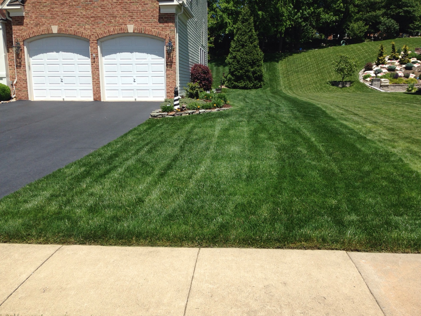 Lawn Maintenance